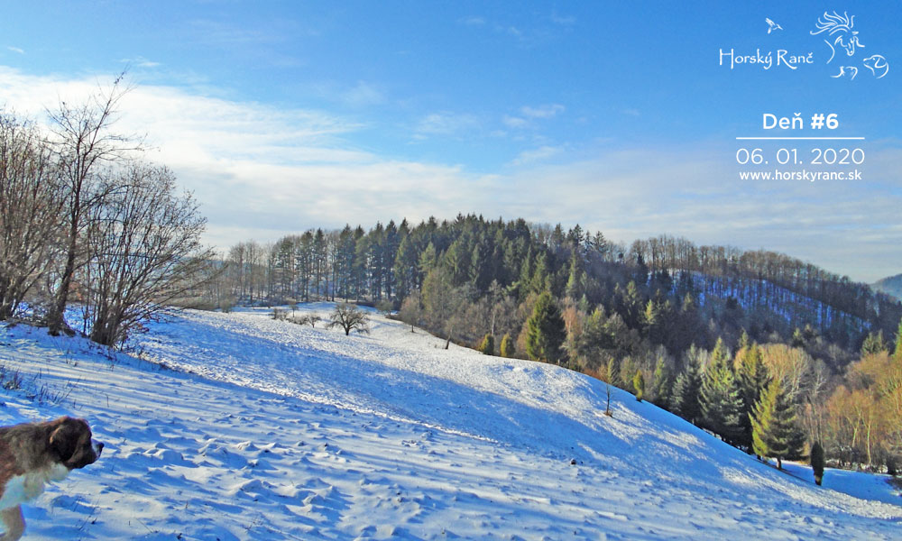 Horsk� Ran�, ubytovanie, azyl pre zvierat�, kurzy, bylinky, pr�rodn� kozmetika