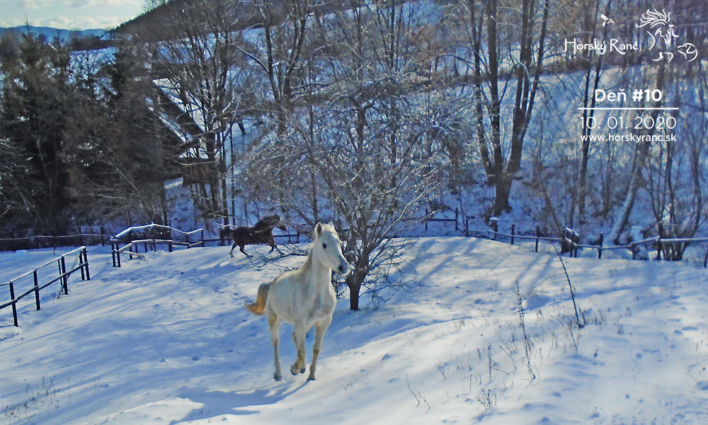 Horsk� Ran�, ubytovanie, azyl pre zvierat�, kurzy, bylinky, pr�rodn� kozmetika