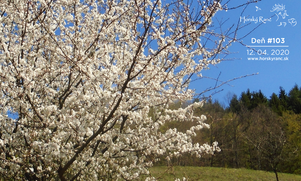 Horsk� Ran�, ubytovanie, azyl pre zvierat�, kurzy, bylinky, pr�rodn� kozmetika