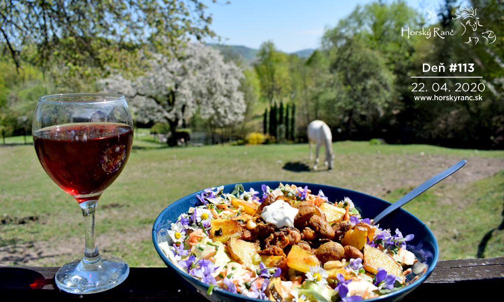 Horsk� Ran�, ubytovanie, azyl pre zvierat�, kurzy, bylinky, pr�rodn� kozmetika