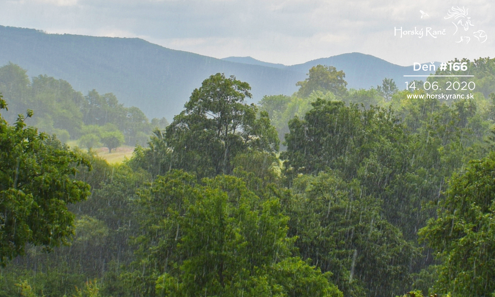 Horsk� Ran�, ubytovanie, azyl pre zvierat�, kurzy, bylinky, pr�rodn� kozmetika