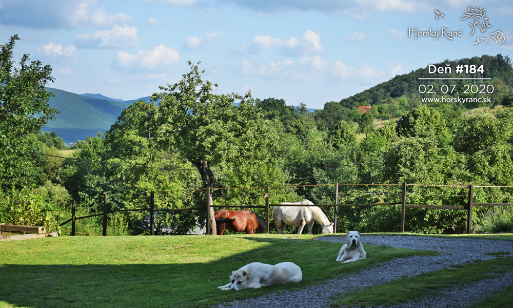 Horsk� Ran�, ubytovanie, azyl pre zvierat�, kurzy, bylinky, pr�rodn� kozmetika