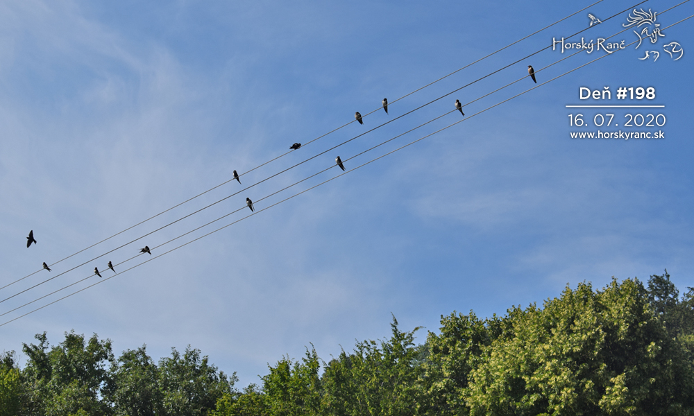 Horsk� Ran�, ubytovanie, azyl pre zvierat�, kurzy, bylinky, pr�rodn� kozmetika