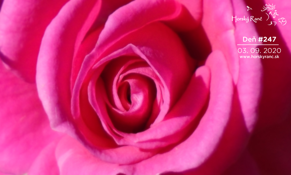 Horsk� Ran�, ubytovanie, azyl pre zvierat�, kurzy, bylinky, pr�rodn� kozmetika