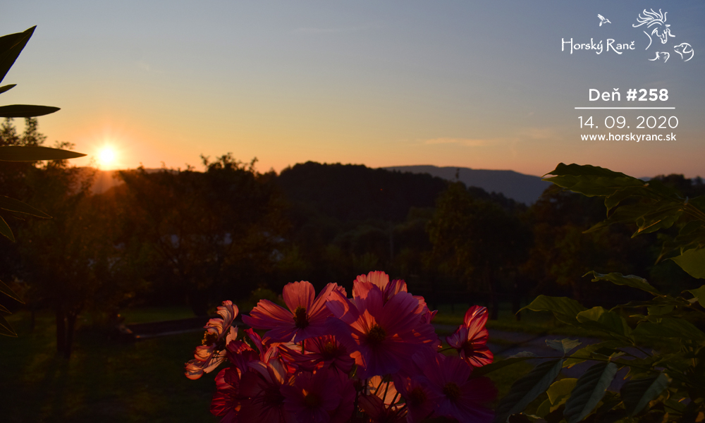 Horsk� Ran�, ubytovanie, azyl pre zvierat�, kurzy, bylinky, pr�rodn� kozmetika