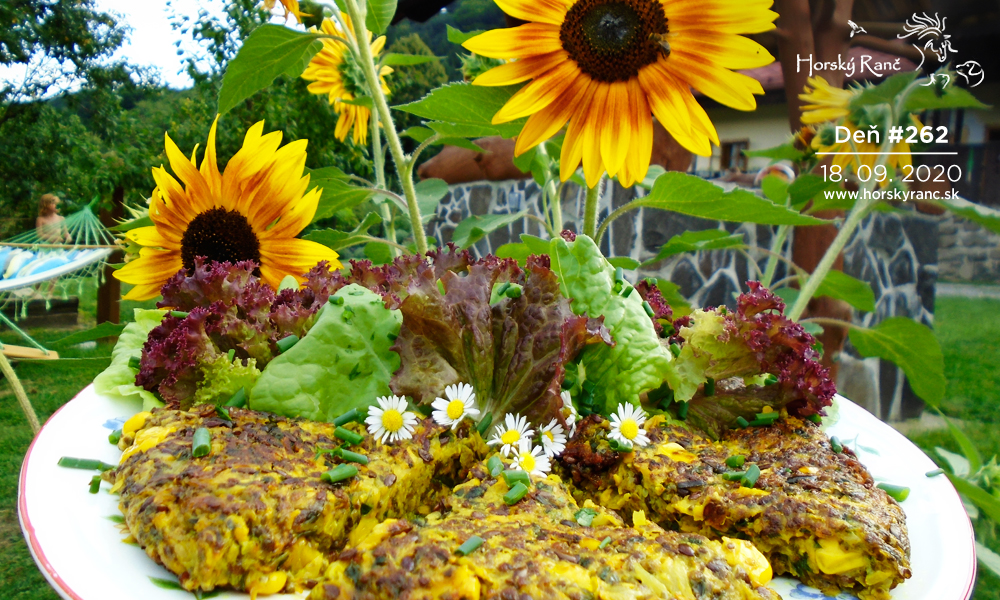 Horsk� Ran�, ubytovanie, azyl pre zvierat�, kurzy, bylinky, pr�rodn� kozmetika