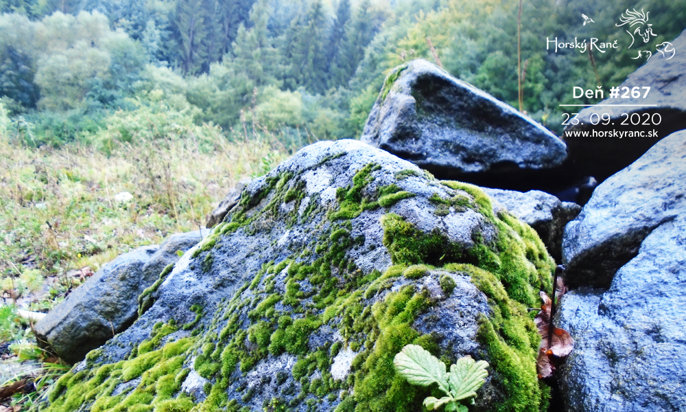 Horsk� Ran�, ubytovanie, azyl pre zvierat�, kurzy, bylinky, pr�rodn� kozmetika