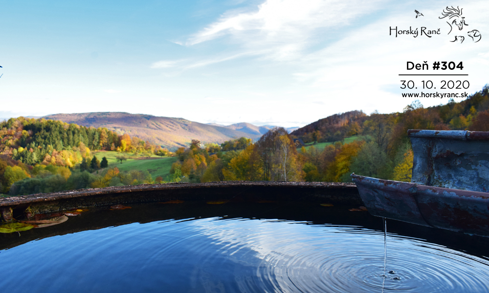 Horsk� Ran�, ubytovanie, azyl pre zvierat�, kurzy, bylinky, pr�rodn� kozmetika