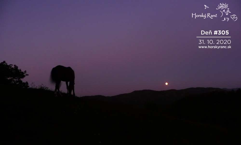 Horsk� Ran�, ubytovanie, azyl pre zvierat�, kurzy, bylinky, pr�rodn� kozmetika