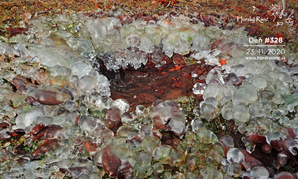 Horsk� Ran�, ubytovanie, azyl pre zvierat�, kurzy, bylinky, pr�rodn� kozmetika