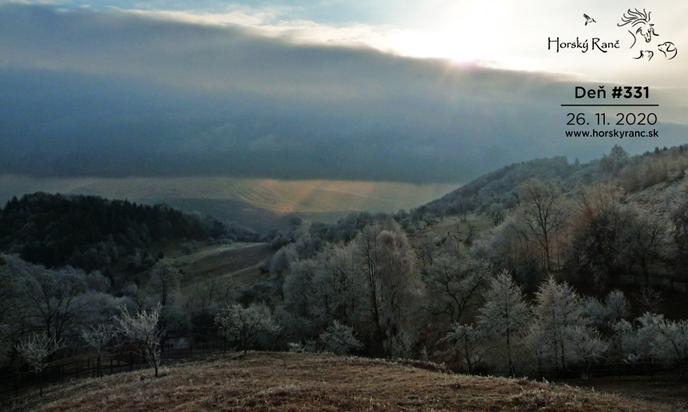 Horsk� Ran�, ubytovanie, azyl pre zvierat�, kurzy, bylinky, pr�rodn� kozmetika