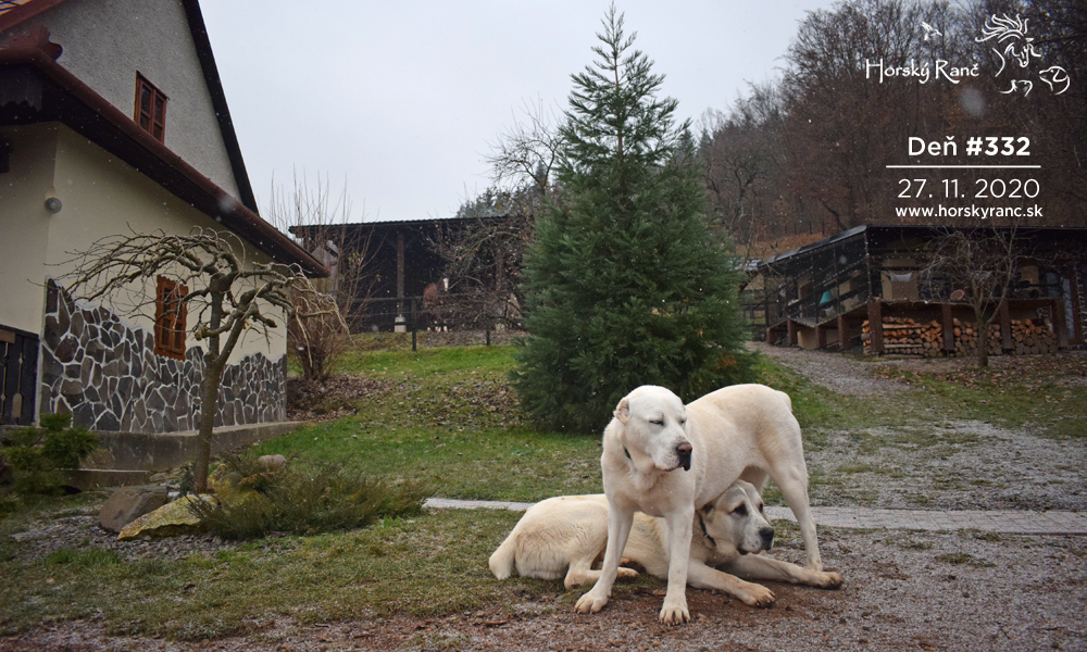 Horsk� Ran�, ubytovanie, azyl pre zvierat�, kurzy, bylinky, pr�rodn� kozmetika