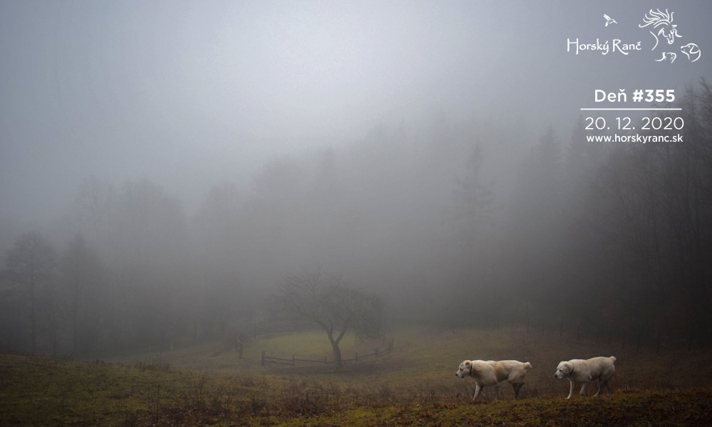 Horsk� Ran�, ubytovanie, azyl pre zvierat�, kurzy, bylinky, pr�rodn� kozmetika