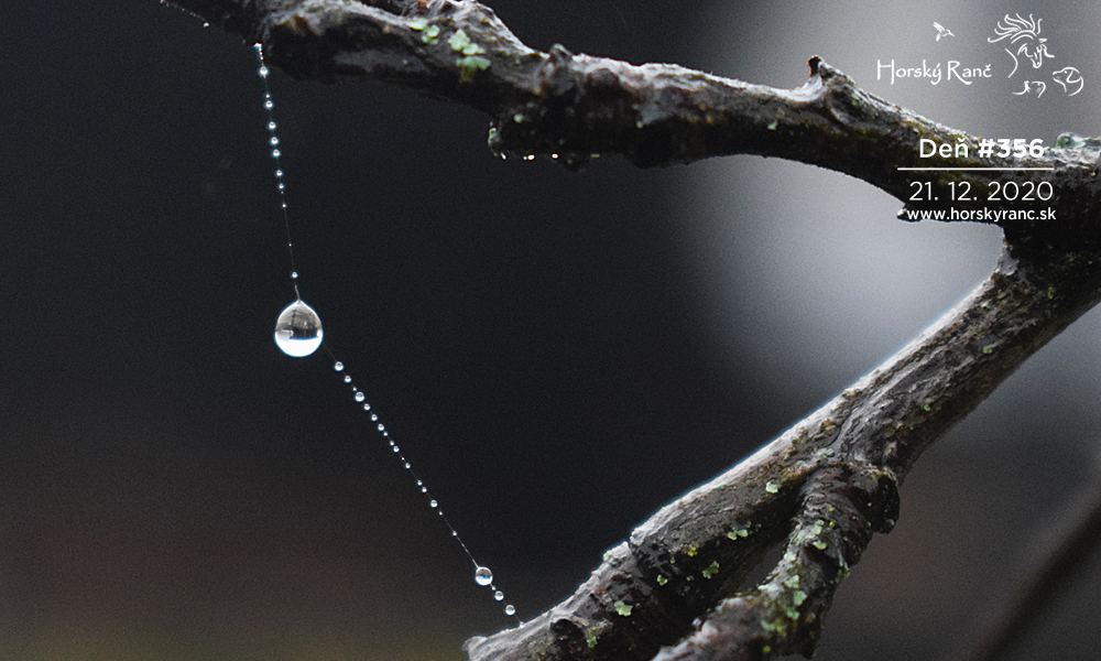 Horsk� Ran�, ubytovanie, azyl pre zvierat�, kurzy, bylinky, pr�rodn� kozmetika