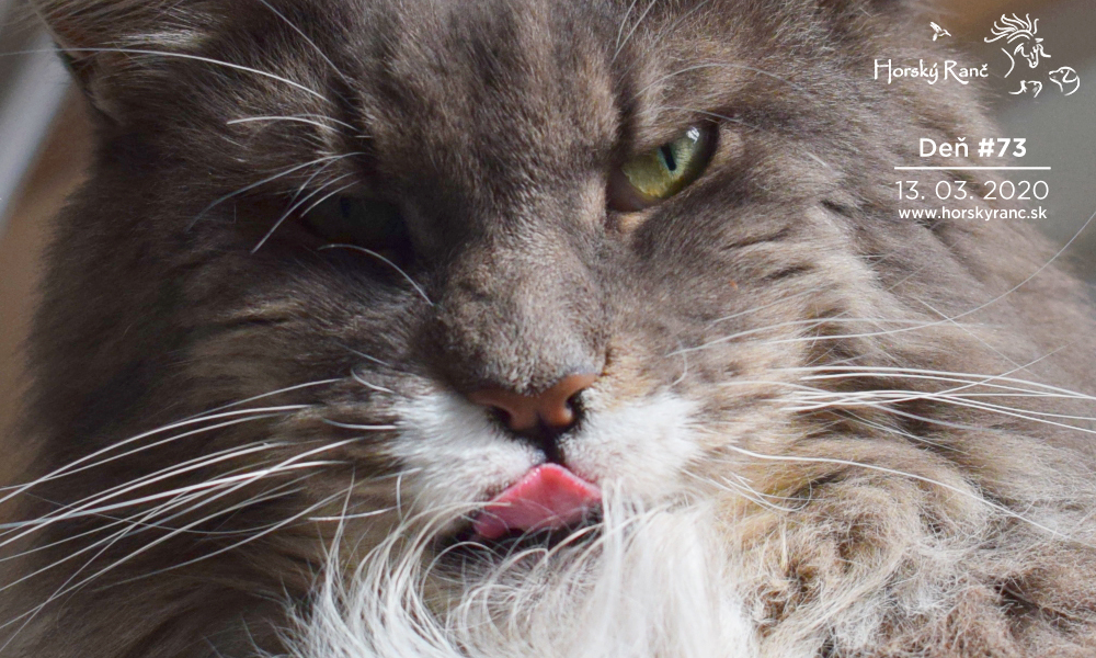 Horsk� Ran�, ubytovanie, azyl pre zvierat�, kurzy, bylinky, pr�rodn� kozmetika