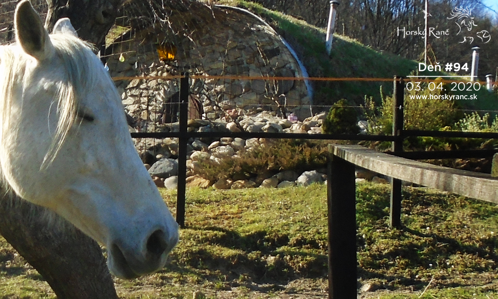 Horsk� Ran�, ubytovanie, azyl pre zvierat�, kurzy, bylinky, pr�rodn� kozmetika