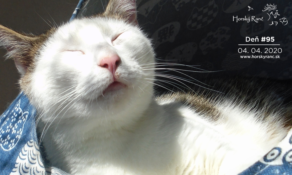 Horsk� Ran�, ubytovanie, azyl pre zvierat�, kurzy, bylinky, pr�rodn� kozmetika