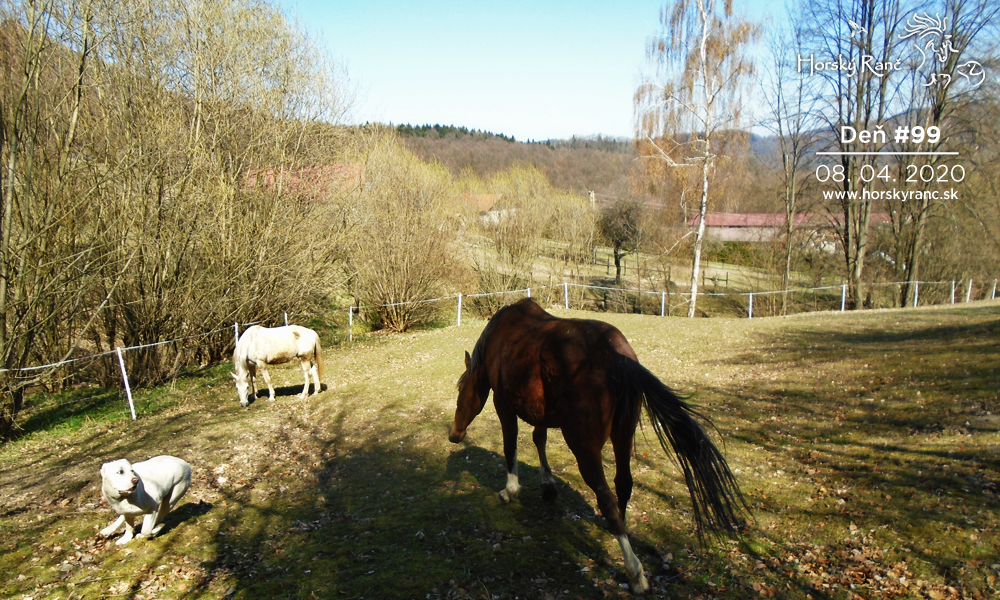 Horsk� Ran�, ubytovanie, azyl pre zvierat�, kurzy, bylinky, pr�rodn� kozmetika