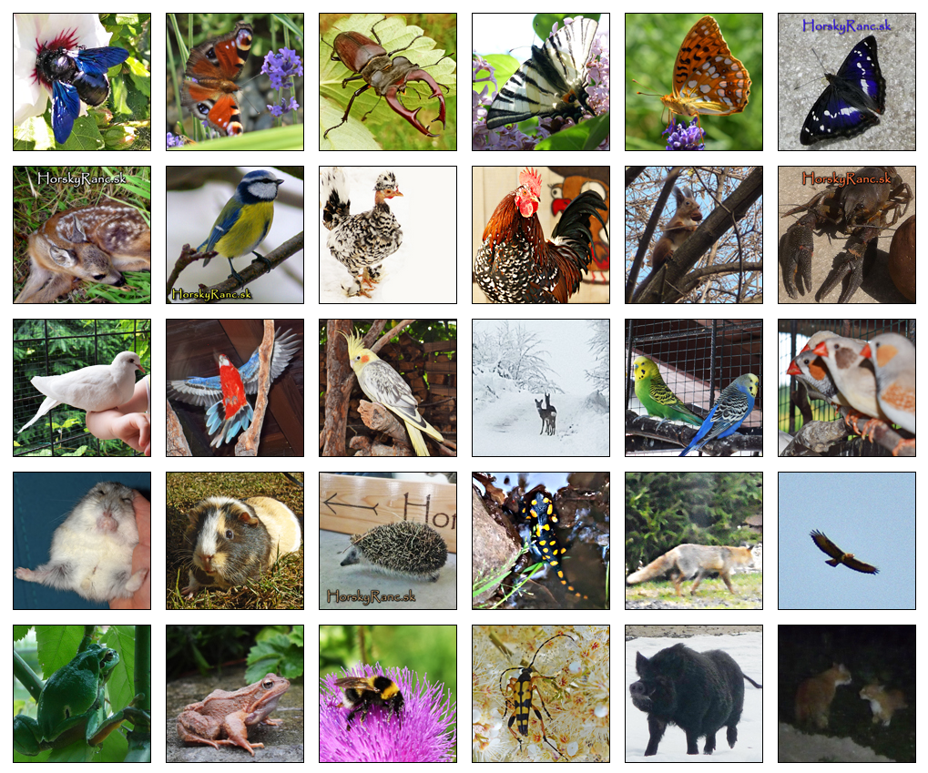 Vitajte na Horskom Ran�i, ktor� vyr�stol s d�razom na �ctu k pr�rode a l�sku k zvierat�m.