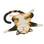 Ma�i�ky na adopciu do bezpe�n�ho miluj�ceho domova