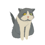 Ma�i�ky na adopciu do bezpe�n�ho miluj�ceho domova