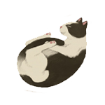 Ma�i�ky na adopciu do bezpe�n�ho miluj�ceho domova