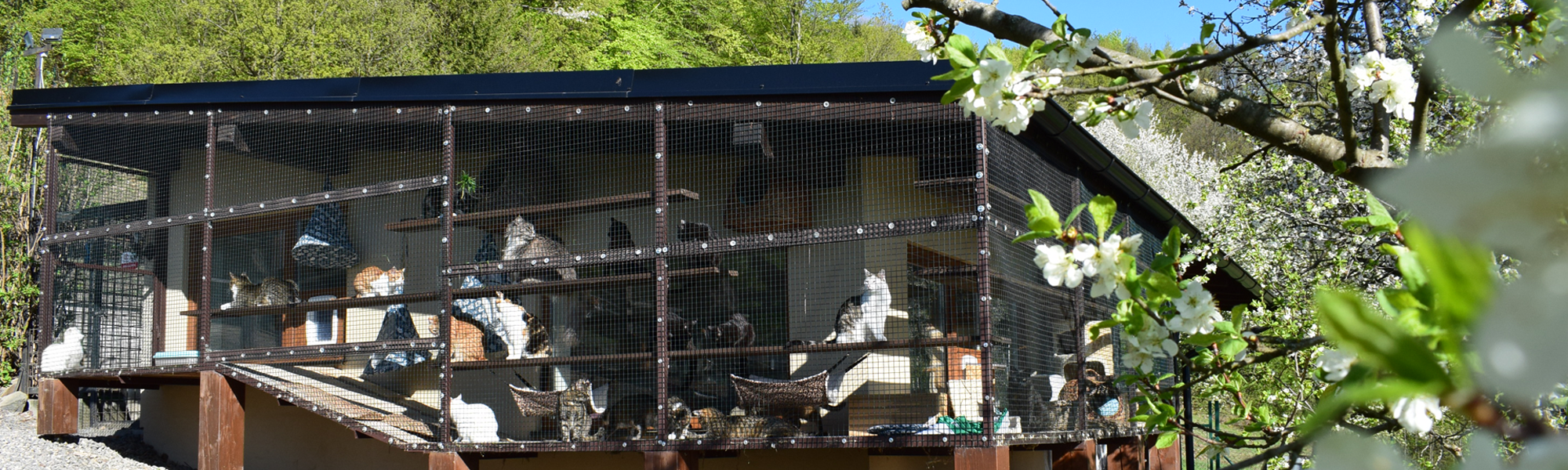 Horsk� Ran�, ubytovanie, kurz, pren�jom