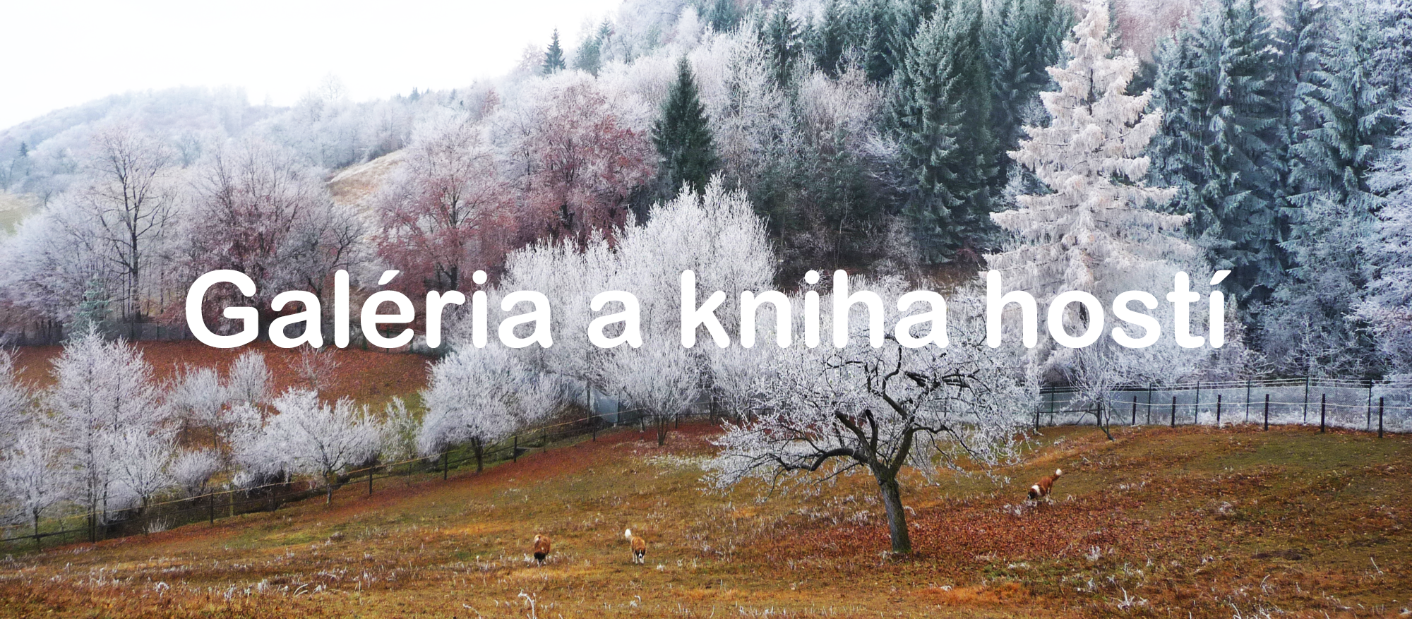 Vitajte na Horskom Ran�i, ktor� vyr�stol s d�razom na �ctu k pr�rode a l�sku k zvierat�m.