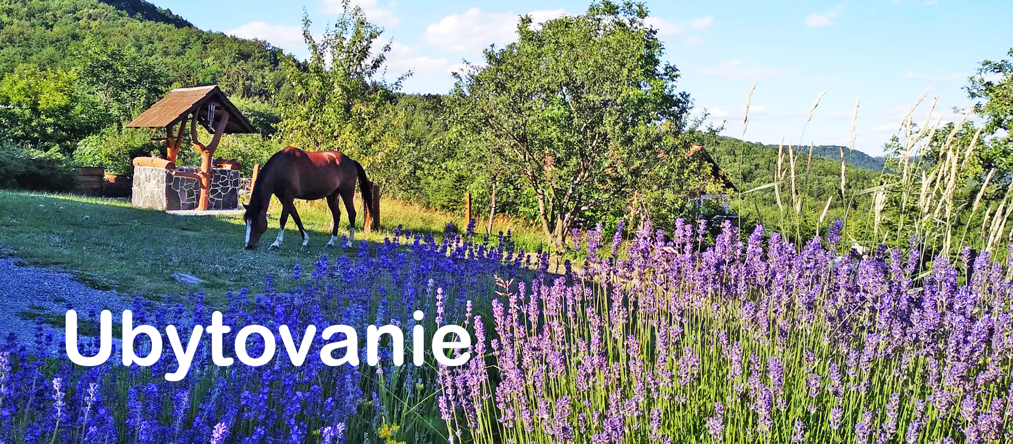 Vitajte na Horskom Ran�i, ktor� vyr�stol s d�razom na �ctu k pr�rode a l�sku k zvierat�m.