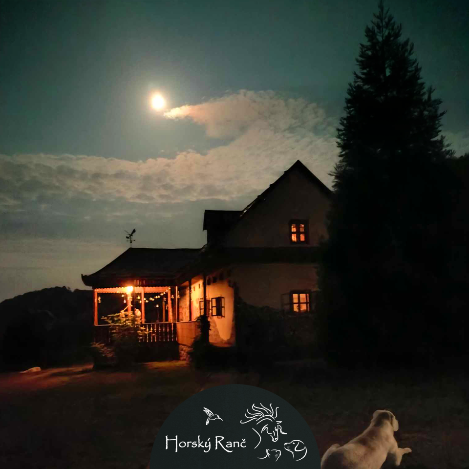 Vitajte na Horskom Ran�i, ktor� vyr�stol s d�razom na �ctu k pr�rode a l�sku k zvierat�m.