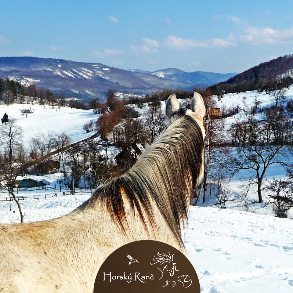 Vitajte na Horskom Ran�i, ktor� vyr�stol s d�razom na �ctu k pr�rode a l�sku k zvierat�m.