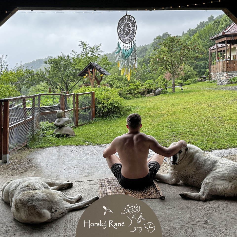 Vitajte na Horskom Ran�i, ktor� vyr�stol s d�razom na �ctu k pr�rode a l�sku k zvierat�m.