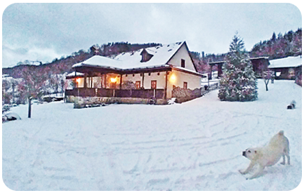 Ubytovanie na Horskom Ran�i v azyle pre zvierat� v kr�snej pr�rode