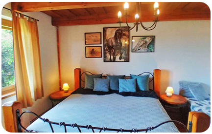 Ubytovanie na Horskom Ran�i v azyle pre zvierat� v kr�snej pr�rode