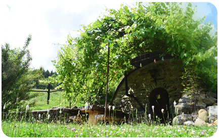 Ubytovanie na Horskom Ran�i v azyle pre zvierat� v kr�snej pr�rode