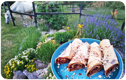 Ubytovanie na Horskom Ran�i v azyle pre zvierat� v kr�snej pr�rode