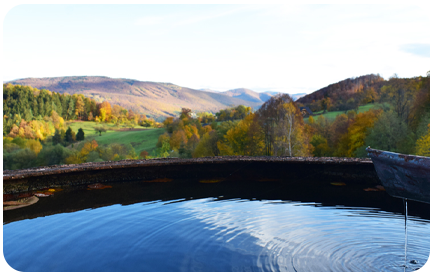 Ubytovanie na Horskom Ran�i v azyle pre zvierat� v kr�snej pr�rode